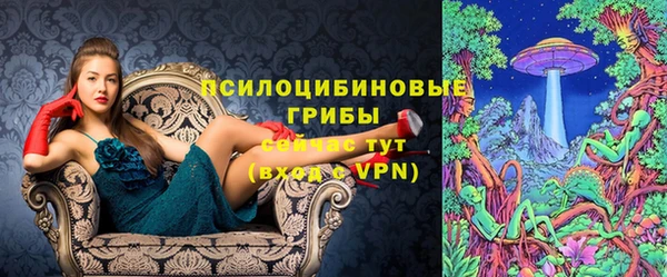 прущие крисы Богданович