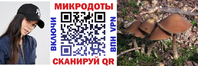 Псилоцибиновые грибы Cubensis  Южа 