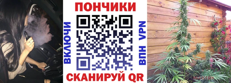 MEGA ссылка  Южа  Бошки марихуана индика 